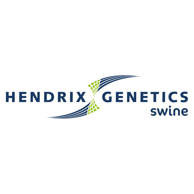 Hendrix Genetics Swine
