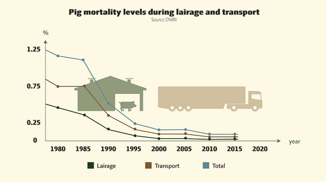 Pig mortality levels during lairage and transport