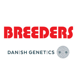 Breeders of Denmark logo
