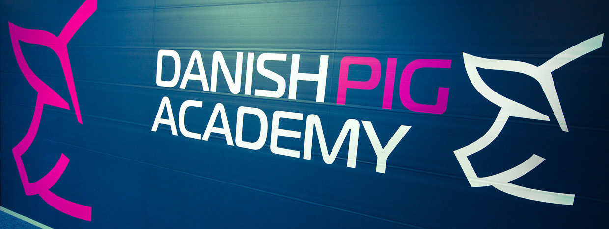 Danish Pig Academy